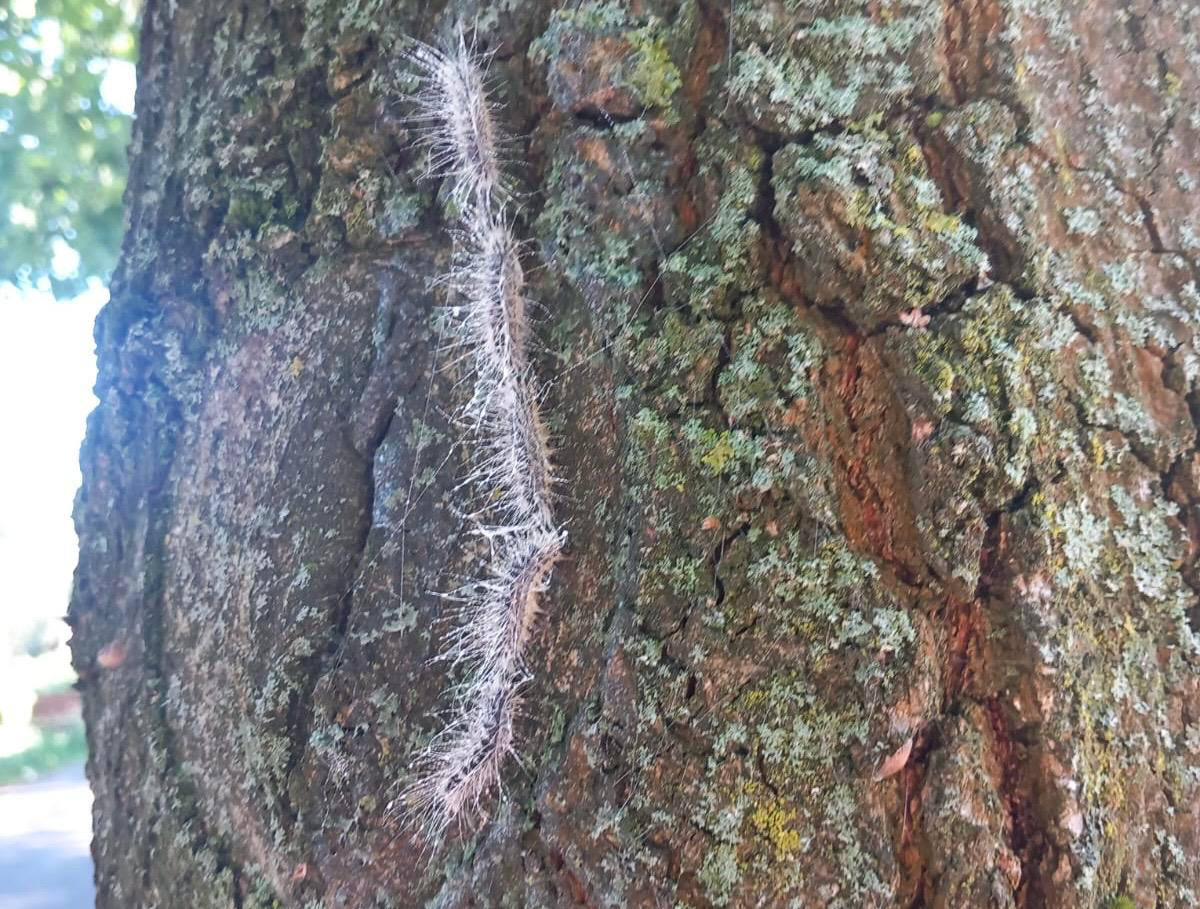 Inhaltsbild